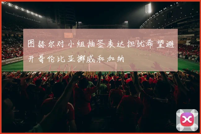 图赫尔对小组抽签表达担忧希望避开哥伦比亚挪威和加纳