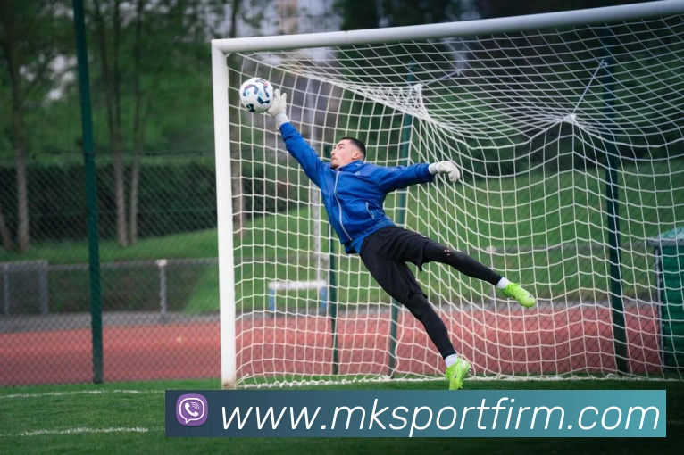 MK体育APP 封面图