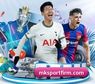 五大服务分区,信息按项目分类 | MK